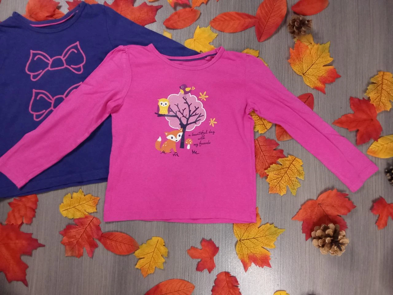 Lote de 2 t-shirts Lupilu 3-4 anos – photo 3
